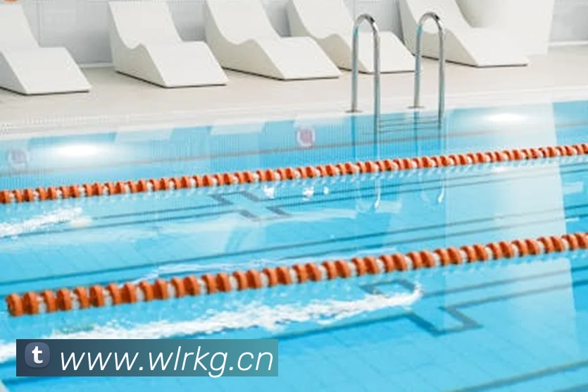 星空体育在线登录官网APP 封面图